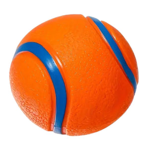 Durable Bouncy Balls 2 Pack Dog Toy