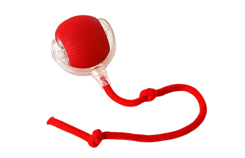 Striped Rolling Ball Interactive Cat Toy