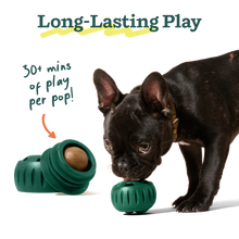 Load image into Gallery viewer, Woof Pupsicle Pops Beef &amp; Peanut Butter Dog Treat