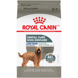 Royal Canin Care Nutrition Large Dental Care 13.6kg Dog Food