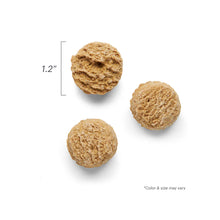 Load image into Gallery viewer, The Honest Kitchen Goat’s Milk N&#39; Cookies Pumpkin and Cinnamon Dog Treats
