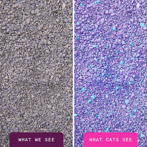 BoxieCat Glo UV Stress-Relief Clumping Clay Litter 12.7kg Cat Litter
