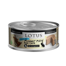 Load image into Gallery viewer, Lotus Grain-Free Rabbit Pate Canned Cat Food Case 24 x 150g
