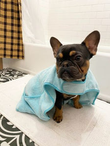 Tall Tails Aqua Cape Dog Towel