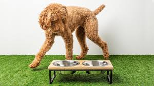 GF Pet Wood & Metal Pet Feeder