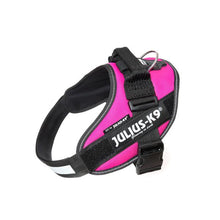 Load image into Gallery viewer, Julius K9 IDC Powerharness Dark Pink Dog Harness
