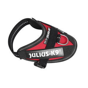 Julius K9 IDC Powerharness Red Dog Harness