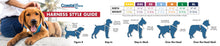 Load image into Gallery viewer, Easy Rider Car Harness