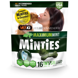 Minties Maximum Mint Tiny/Small Dental Chews