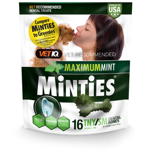 Dog mints online