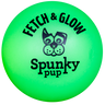 Spunky Fetch & Glow Ball Dog Toy