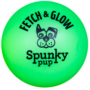 Spunky Fetch & Glow Ball Dog Toy