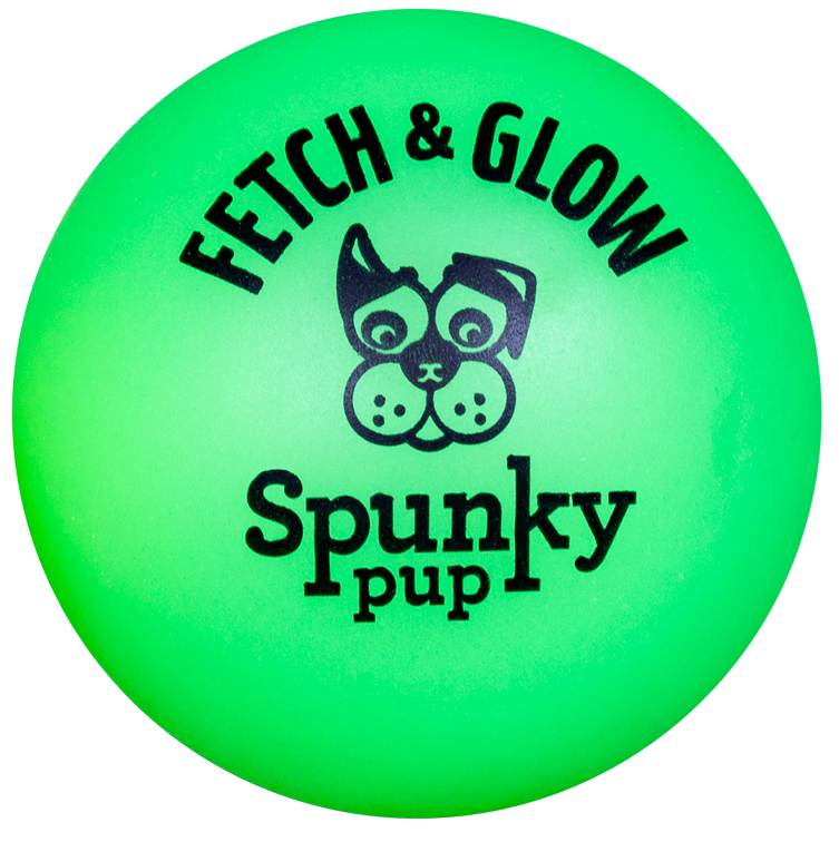Spunky Fetch Glow Ball Dog Toy Critters Pet Health Store
