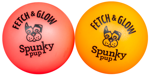 Spunky Fetch & Glow Small 2 pack Dog Toy