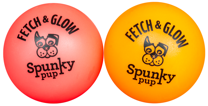 Spunky Fetch & Glow Small 2 pack Dog Toy