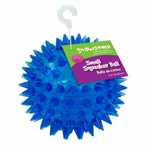 Royal Pet Gnawsome Squeaker Ball Dog Toy