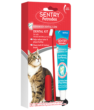 Petrodex Cat Dental Care Kit