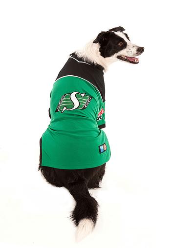 Karsuh Saskatchewan Roughriders CFL Jersey