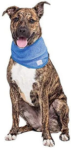 GF Pet Ice Band Dog Cooling Bandana