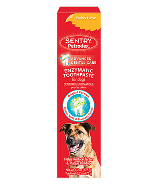 Petrodex Poultry Toothpaste