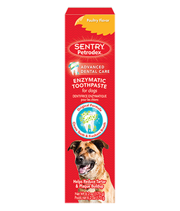 Petrodex Poultry Toothpaste