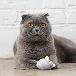 Petstages Squeak Squeak Grey Mouse Cat Toy