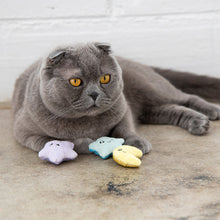 Load image into Gallery viewer, Petstages Toss N Twinkle Cat Toy