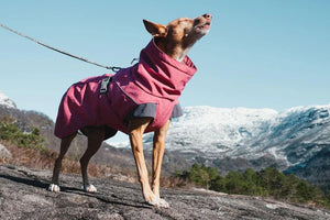 Hurtta Expedition Parka Blackberry Dog Jacket