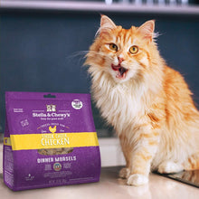 Load image into Gallery viewer, Stella &amp; Chewy&#39;s 510g Chicken Freeze Dried Cat Food