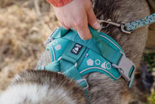 Load image into Gallery viewer, Hurtta Weekend Warrior Peacock 16-18 Inch Dog Harness