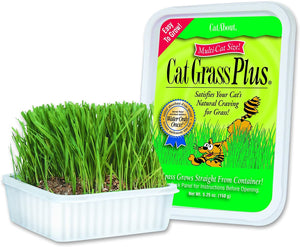 Cat A'Bout Cat Grass Plus Growing Kit 150g