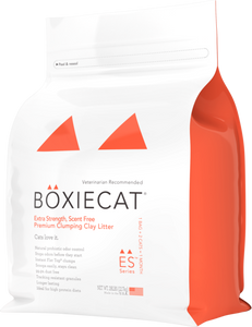 BoxieCat Extra Strength 12.7kg Cat Litter Critters Pet Health Store