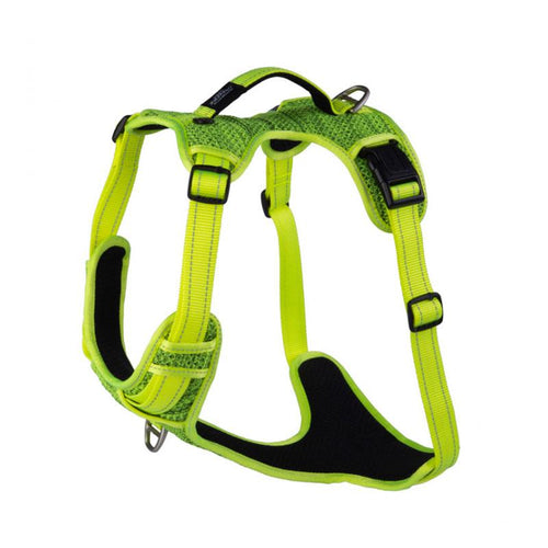 Rogz Explore Padded Dog Harness DayGlo