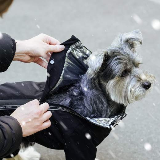 Canada Pooch Snow Suit Black Dog Coat Critters Pet Health Store