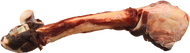 K9 Choice Kangaroo Whole Bone Raw Dog Chew