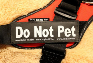 Julius K9 Harness Label Patch "Do Not Pet" Set Of 2