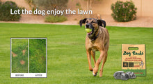 Load image into Gallery viewer, Dog Rocks Lawn Saver
