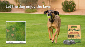 Dog Rocks Lawn Saver