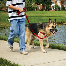 Load image into Gallery viewer, Petsafe Easy Walk Dog Harness