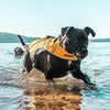Load image into Gallery viewer, EzyDog DFD X2 Boost Red Dog Life Jacket