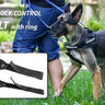 Julius K9 Front Control Y Belt With Front Ring Dog Harness Attachment