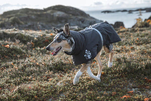 Hurtta Extreme Warmer 2 Blackberry Dog Jacket