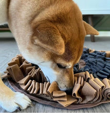 Load image into Gallery viewer, Injoya Cookie Blue &amp; Orange Snuffle Mat