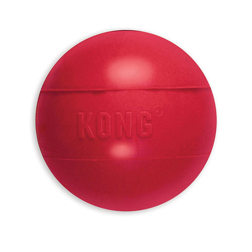 Kong Ball Dog Toy