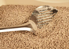 Load image into Gallery viewer, Worlds Best Long Lasting Multi-Cat Lavender Scented Cat Litter