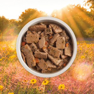 Acana Premium Chunks 363g Lamb Recipe In Bone Broth Canned Dog Food