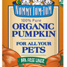 Nummy Tum Tum 374g Pumpkin