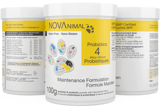 NOVAnimal Probiotics 100g Maintenance