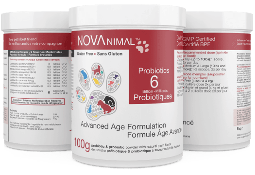 NOVAnimal Probiotics 100g Advanced Age