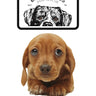 Pet Food Drive 1lb Donation - Bright Eyes Dog Rescue